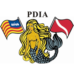PDIA-Logo